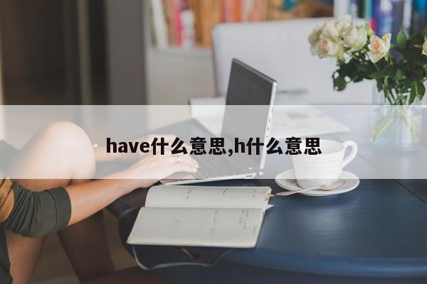 have什么意思,h什么意思