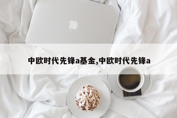 中欧时代先锋a基金,中欧时代先锋a