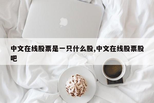 中文在线股票是一只什么股,中文在线股票股吧