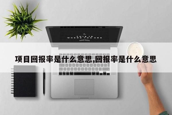 项目回报率是什么意思,回报率是什么意思