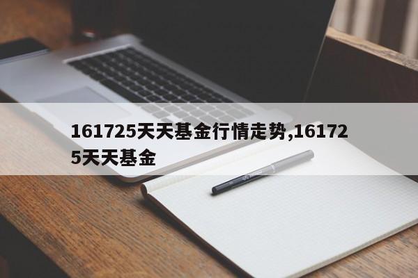 161725天天基金行情走势,161725天天基金