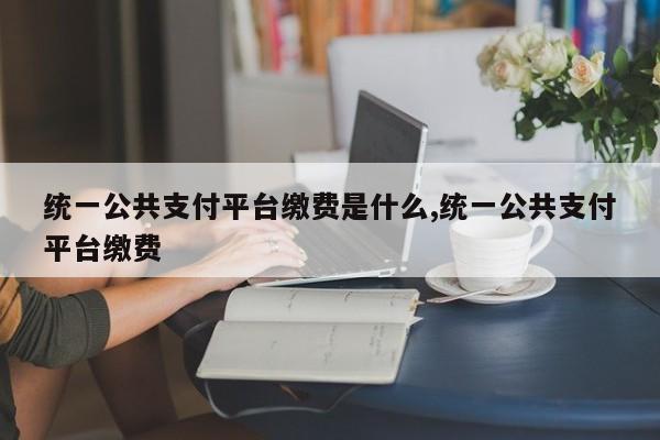 统一公共支付平台缴费是什么,统一公共支付平台缴费