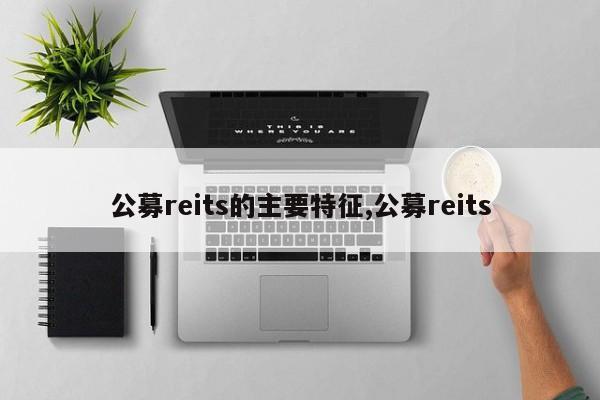 公募reits的主要特征,公募reits