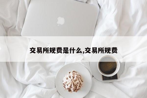 交易所规费是什么,交易所规费