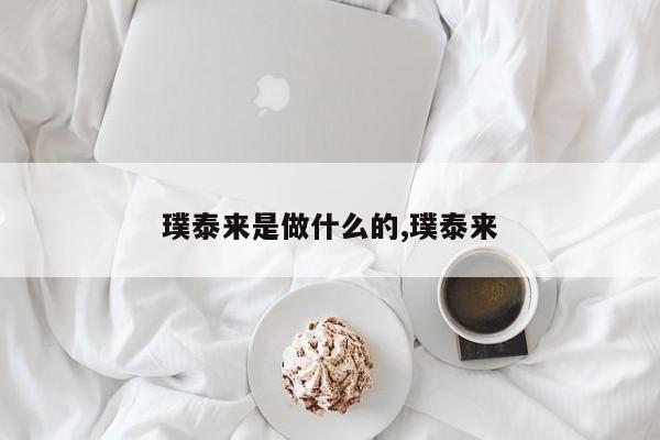 璞泰来是做什么的,璞泰来