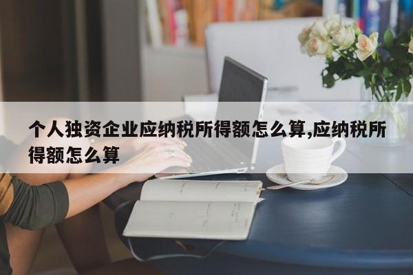 个人独资企业应纳税所得额怎么算,应纳税所得额怎么算