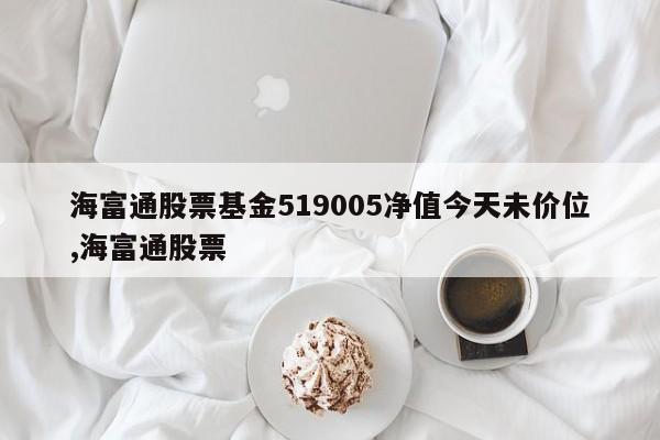 海富通股票基金519005净值今天未价位,海富通股票