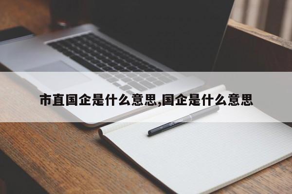 市直国企是什么意思,国企是什么意思