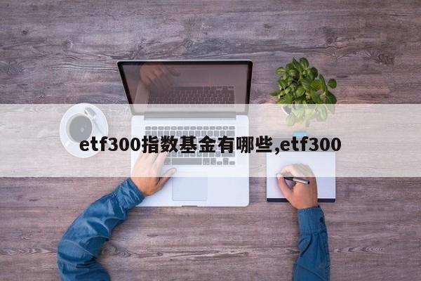 etf300指数基金有哪些,etf300