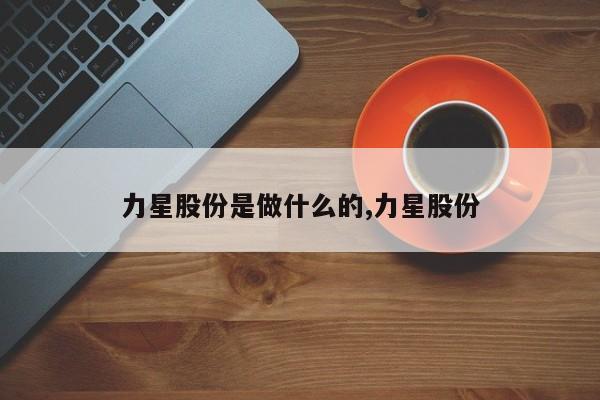 力星股份是做什么的,力星股份