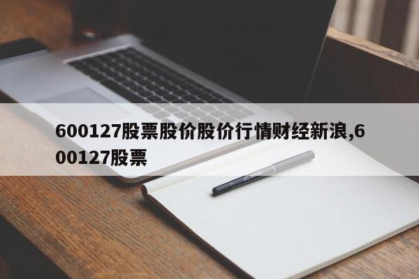 600127股票股价股价行情财经新浪,600127股票