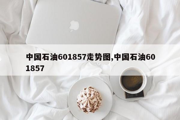 中国石油601857走势图,中国石油601857