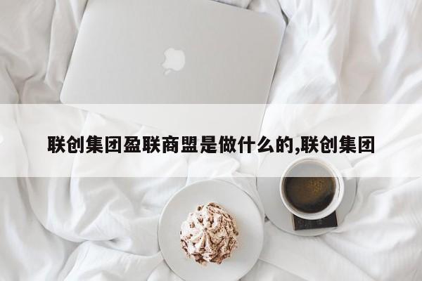 联创集团盈联商盟是做什么的,联创集团