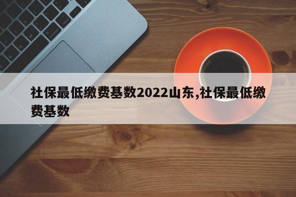 社保最低缴费基数2022山东,社保最低缴费基数