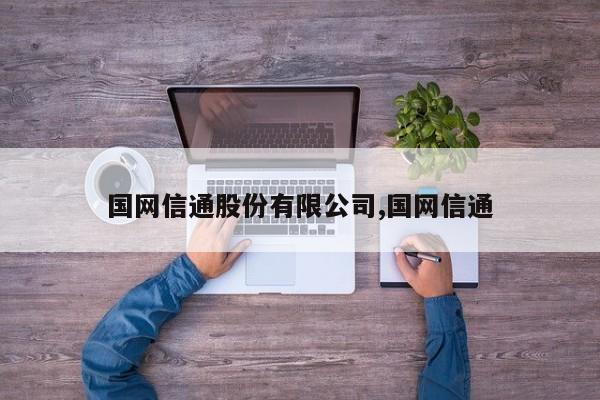 国网信通股份有限公司,国网信通