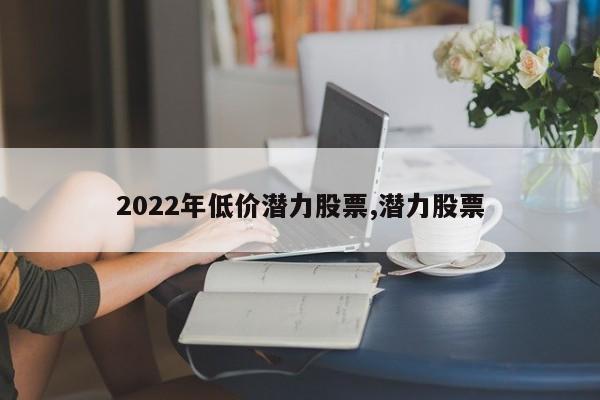 2022年低价潜力股票,潜力股票